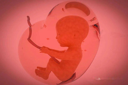 聚焦不孕-杭州三代试管婴儿多少钱?杭州试管婴儿的过程是什么?