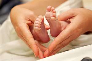 详解三代试管婴儿移植两个胚胎的成功率取决于这几个因素!