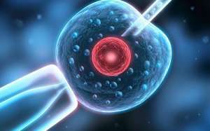 三代试管婴儿新鲜胚胎移植后黄体支持不足黄体酮凝胶应置入阴道多长时间?