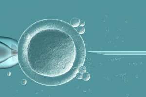 三代试管婴儿二胎解冻胚胎过程分析术前检查必不可少