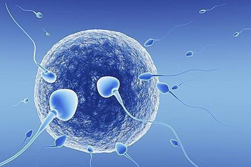 三代试管婴儿新鲜胚胎移植第七天可丽蓝试纸有淡淡的双字正常吗?