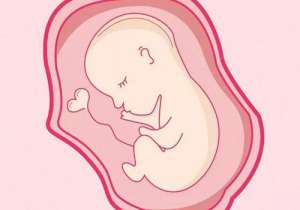 三代试管婴儿胚胎培养3天和5天一样吗?