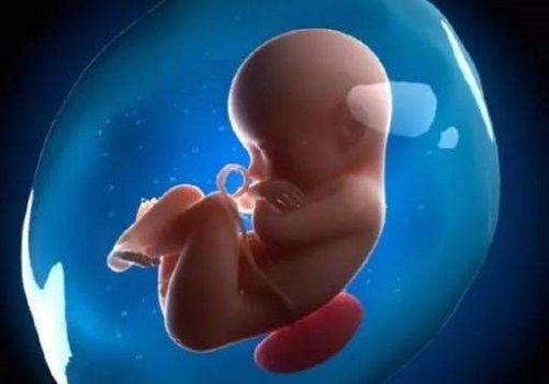 次和第二次取在三代试管婴儿新鲜胚胎移植中起什么作用?